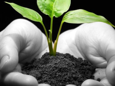 Cropped Ambiente Scaled 1
