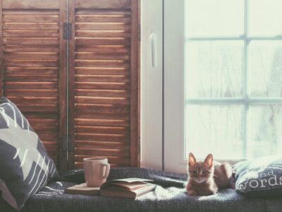Cropped Cat Cafe1 1 Scaled 1