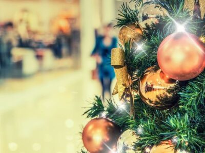 Cropped Decorazioni Natale 1