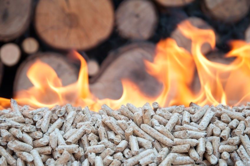 pellet 3