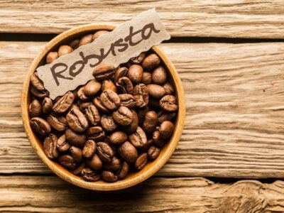 Robusta